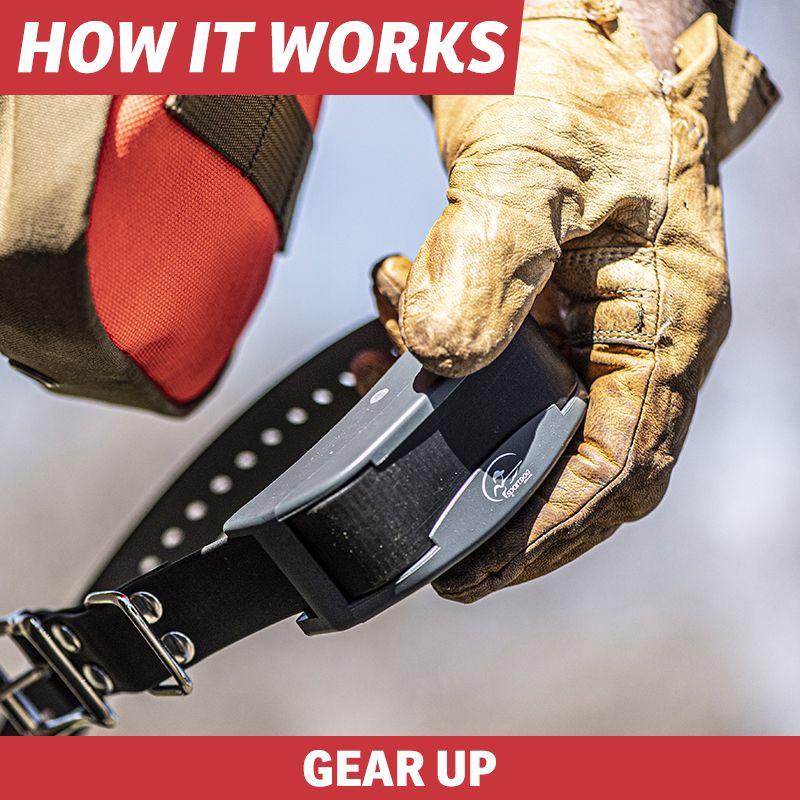 After short calibration period, the FieldSentinel collar begins monitoring your dog in real-time.