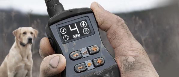 Handing holding SportTrainer transmitter with dog in background