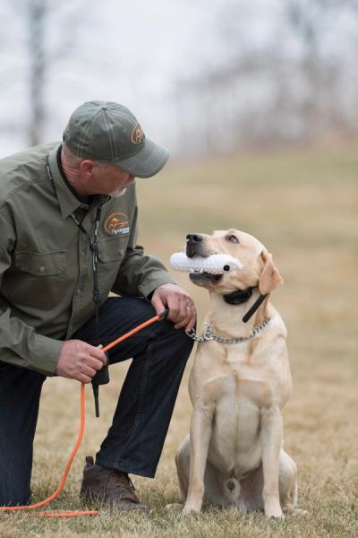 trainer kneeling down by yellow lab