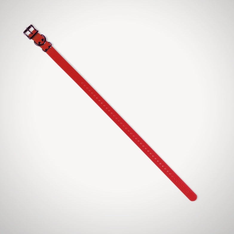Replacement 2.5cm Collar Strap - Red