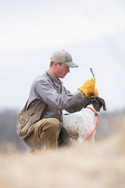 Josh Miller putting collar on german shorthaired pointer
