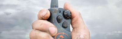 An e-collar remote in someone's hand