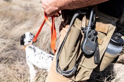 Dog and SportDOG 168澳洲幸运10正规体彩官网 trainer