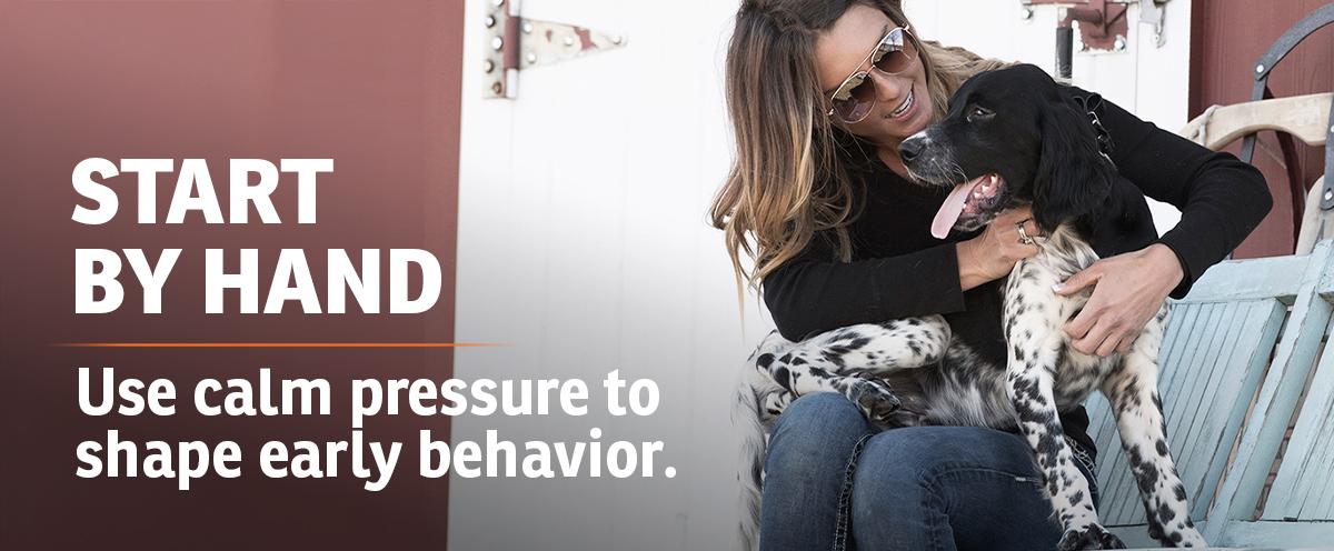 English Setter puppy being held by woman with text: Start by Hand. Use calm pressure to shape early behavior.