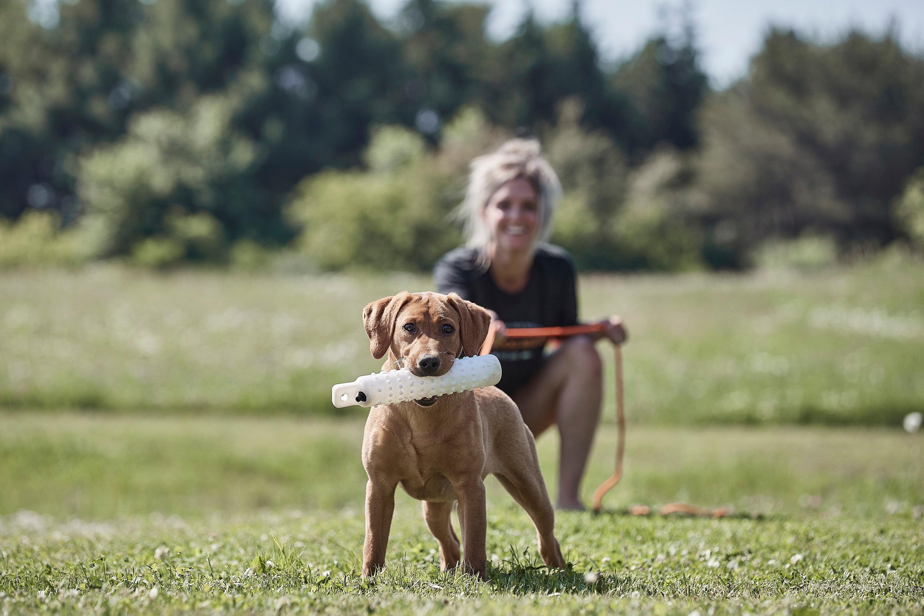 woman and dog with dummy