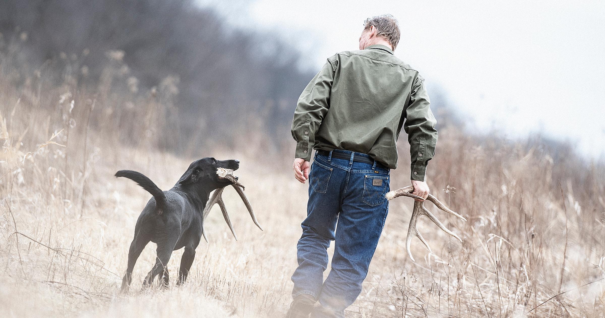 Tom Dokken walking through a field with a black labrador. Both holding antlers and looking at each other