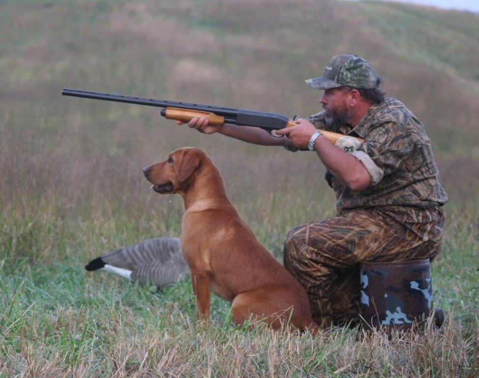 Tracy Hayes has lived a lifetime with gun dogs. His first two dogs were a gift from a family friend he received when he was 9 years old. Coming from a birddog family, his youth was filled with pointing dogs, quail, grouse and pointing dog field trials. In his early...