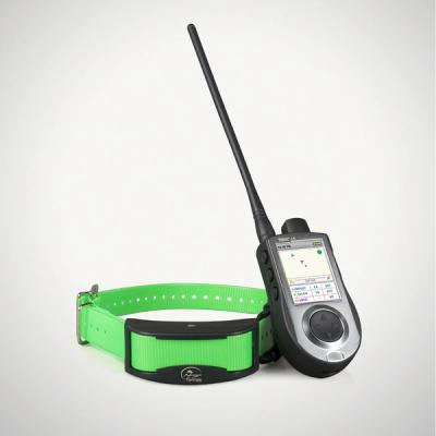 dog gps tracking and training system