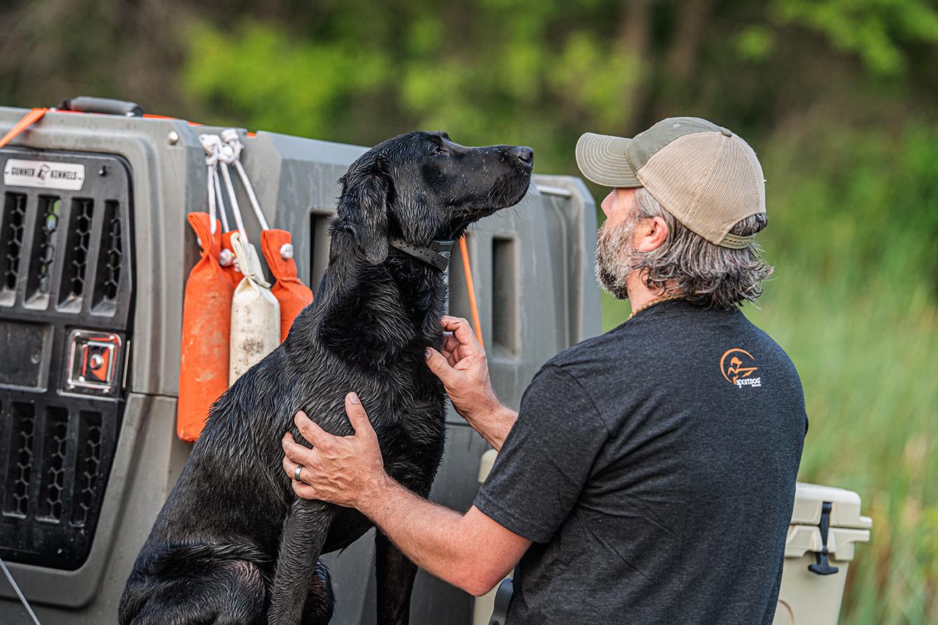 Black lab sitting on truck tailgate being pet by owner Clay Thompson
