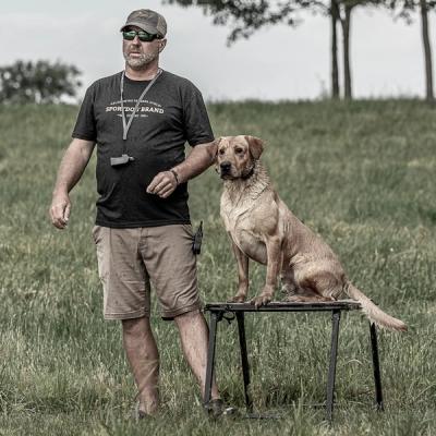 Yellow lab sitting on platform next to trainer