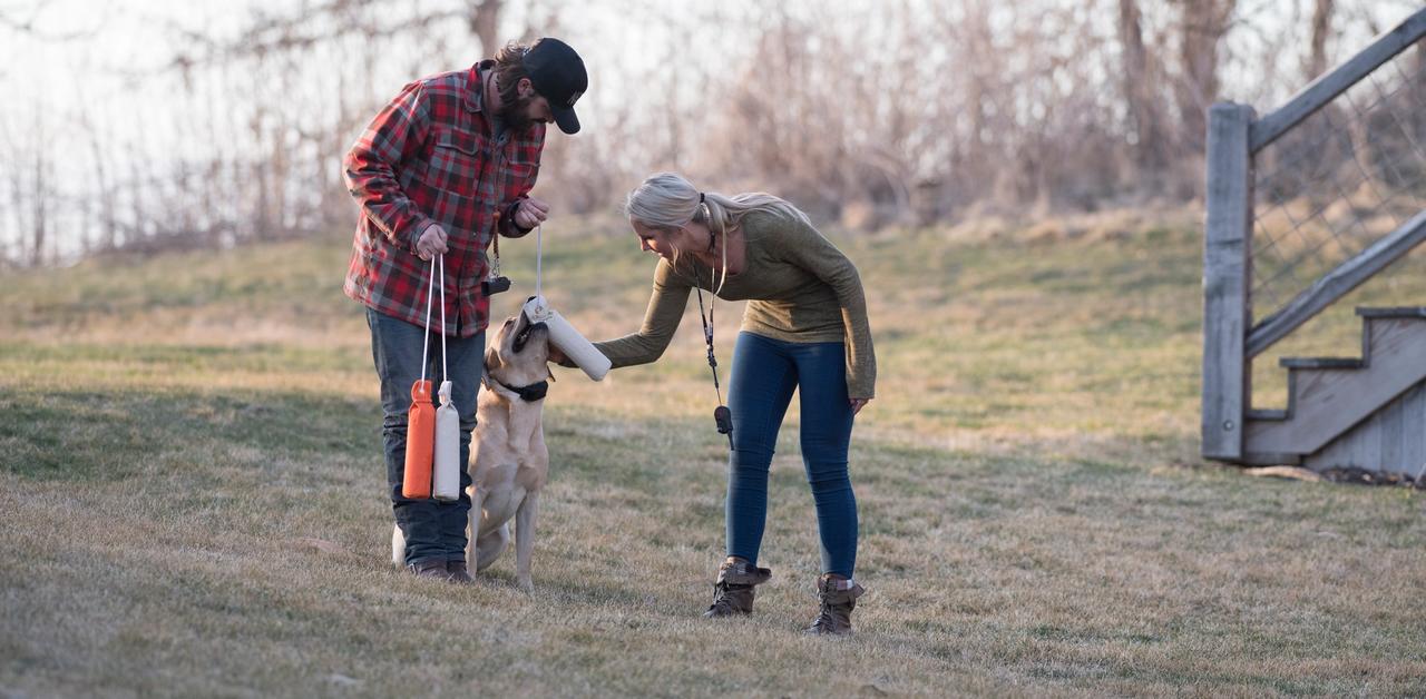 Man and woman petting and rewarding yellow lab for retrieving dummy