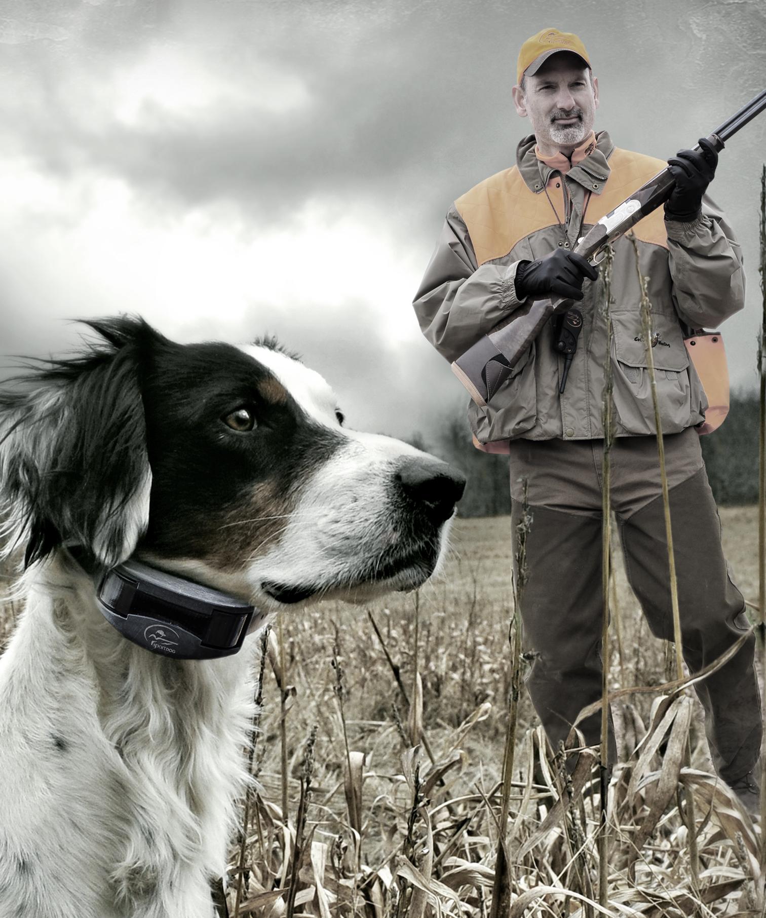 Les chiens craintifs peuvent s'épanouir