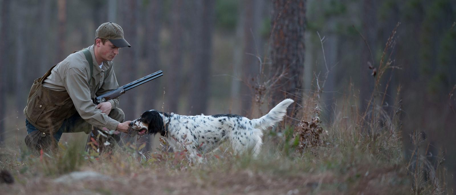 A man being greeted by his english setter in the woods on a quail hunt