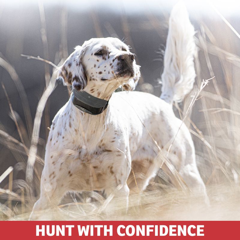 BodyGuard will alert to potential health concerns with a vibration, tone, and light on your remote.