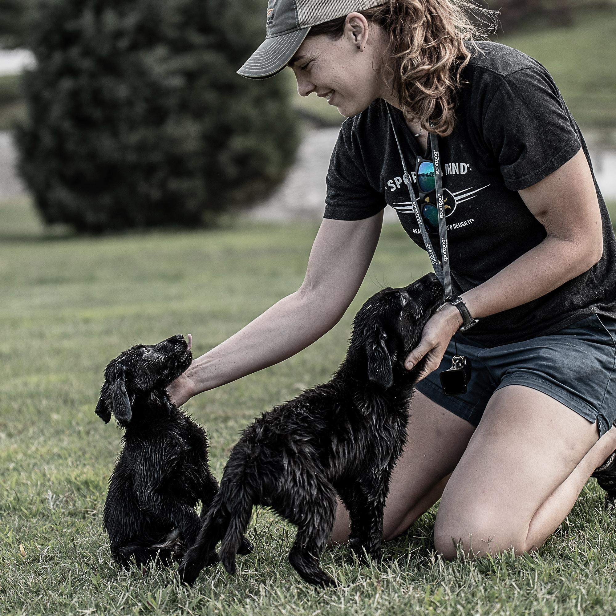 Woman smiling while petting two small black lab puppies