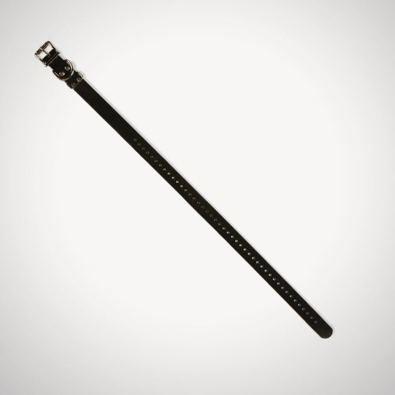 Replacement 2.5cm Collar Strap - Black